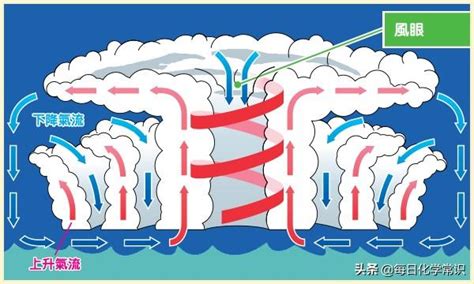 颱風颶風旋轉方向|你知道颱風怎麼形成的嗎！？